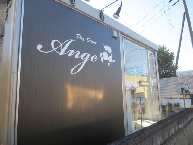 その他　ドックサロン　Ａｎｇｅ（その他）まで144m