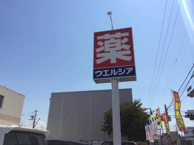 ドラックストア　ウエルシア堺砂道店（ドラッグストア）まで740m