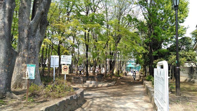 公園　大宮前公園（公園）まで490m