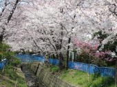 公園　塚口北公園（公園）まで361m