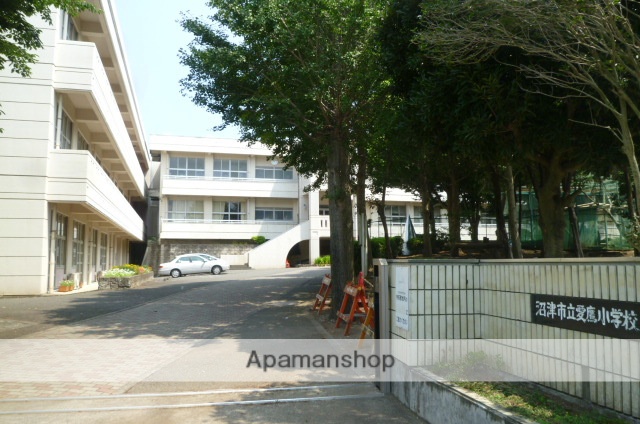 小学校　愛鷹小学校（小学校）まで956m
