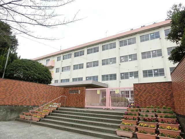 小学校　八枝小学校（小学校）まで520m