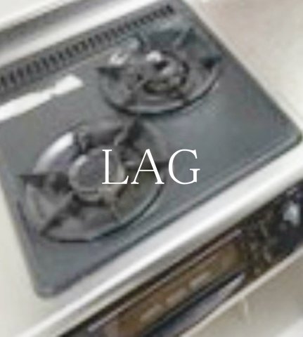 その他設備　2口コンロです。