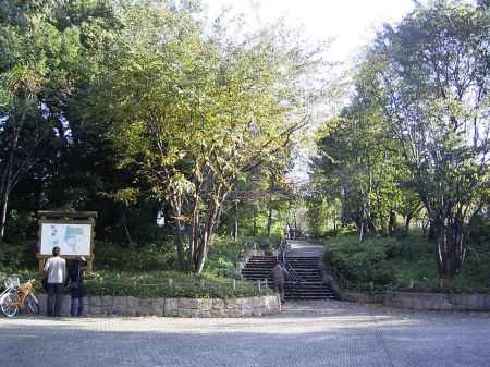 公園　羽根木公園（公園）まで800m