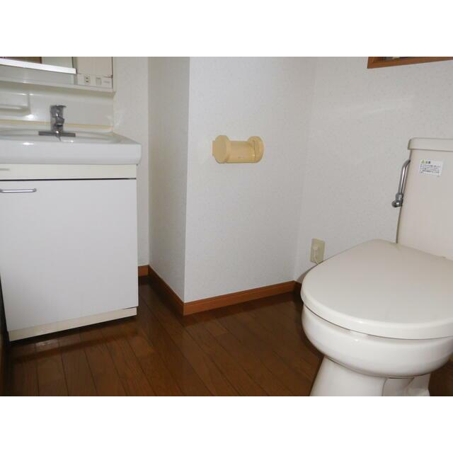 シャンポールIIIのトイレ写真