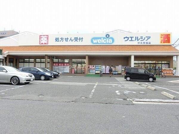 ドラックストア　ウエルシア堺長曽根店（ドラッグストア）まで217m