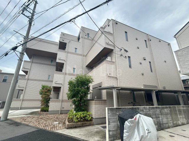アイボリー アレイ