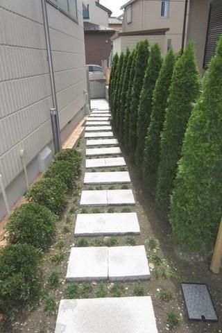 庭