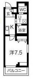 エヌエムスワサントシスの間取り