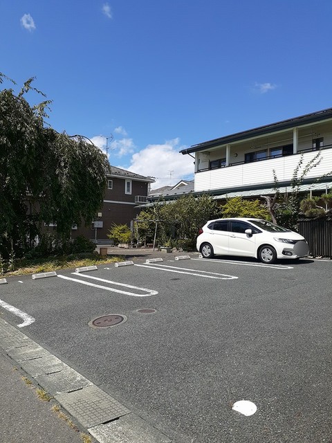 チェリーブラッサム_その他_4