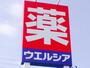ドラックストア　ウエルシア堺鳳中町店（ドラッグストア）まで339m