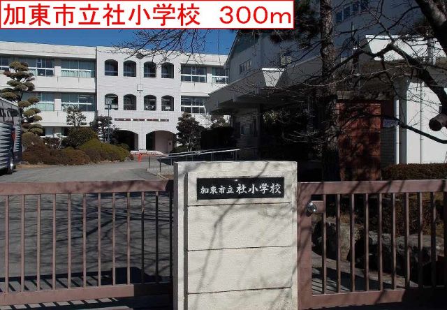 小学校　加東社小学校（小学校）まで300m