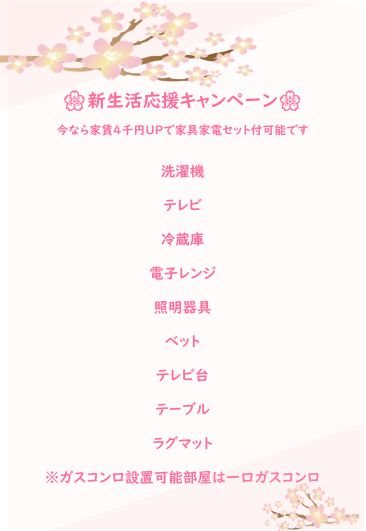 その他　家具家電付きプラン内容