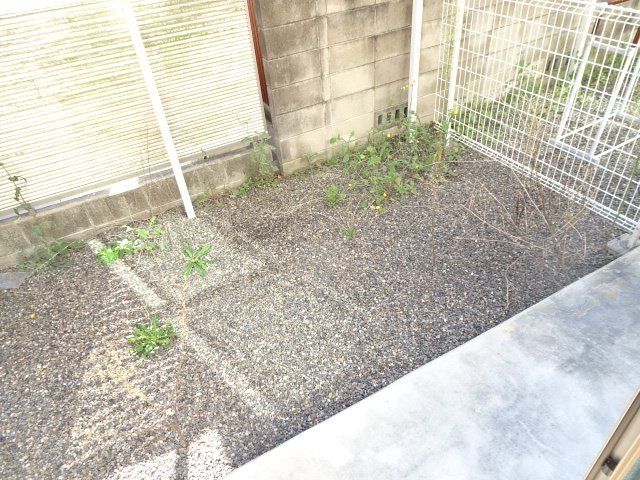 庭
