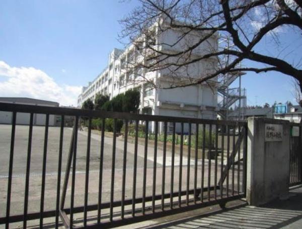 小学校　緑野小学校（小学校）まで854m
