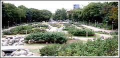 公園　靭公園（公園）まで595m