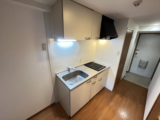 ルミエール八尾IIのキッチン写真