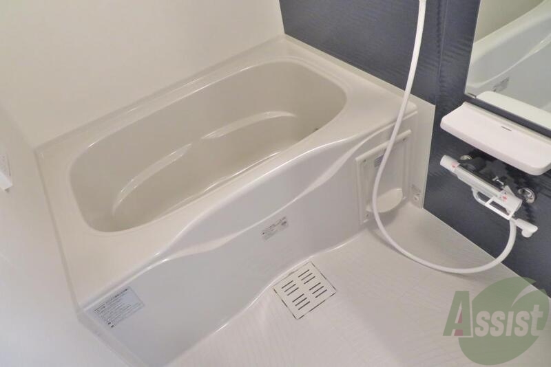 バス・シャワールーム　浴室はこんな感じ。ゆったりと浸かれそうです。