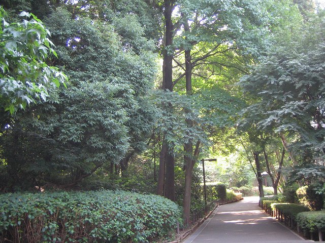 公園　小山台公園（公園）まで658m