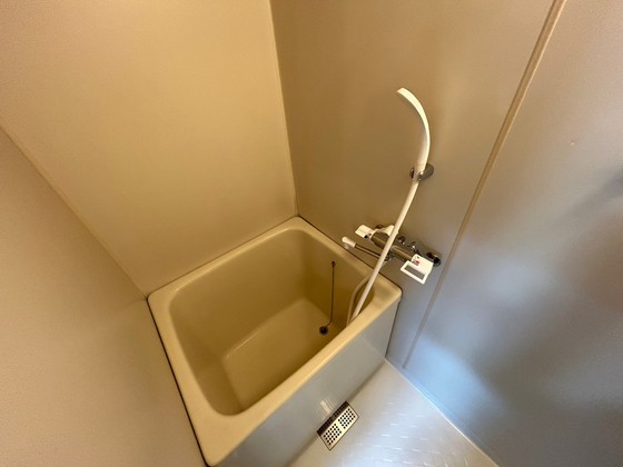 バス・シャワールーム　※別号室のお写真です