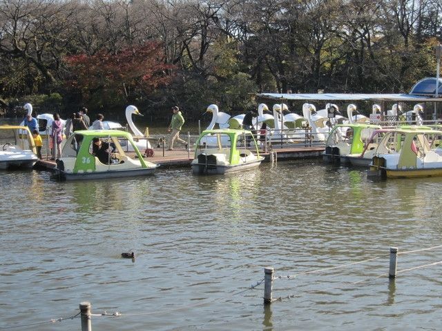 その他　井の頭恩賜公園（その他）まで1200m