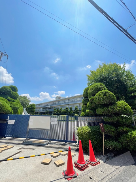 高校・高専　大阪府立阪南高校（高校・高専）まで232m