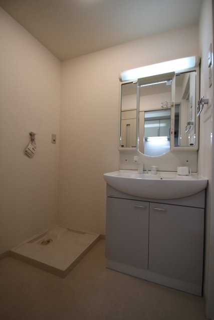 洗面設備　写真は別号室です。