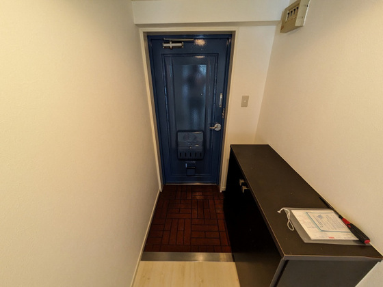 玄関　※他部屋の写真です。