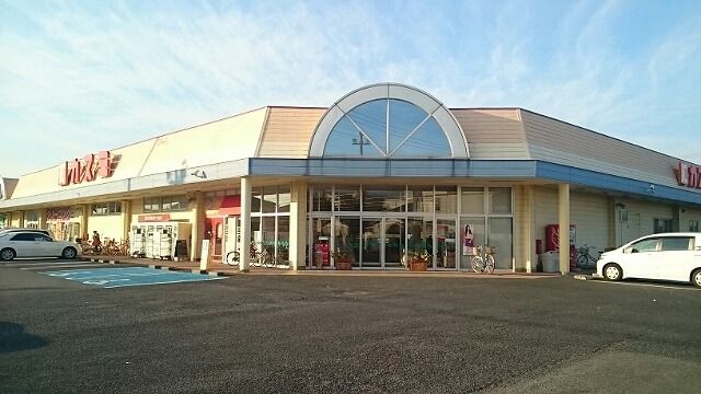 スーパー　カスミ花崎店（スーパー）まで550m