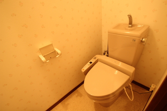 トイレ　※別号室の写真です