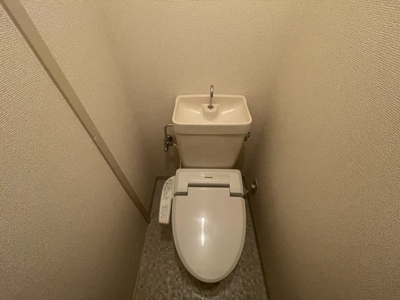 トイレ　※他号室の写真です。