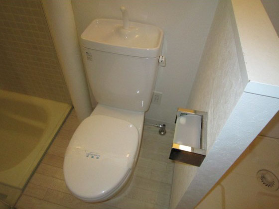 トイレ　※別号室の写真です