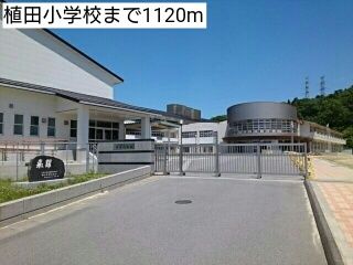 小学校　植田小学校（小学校）まで1120m