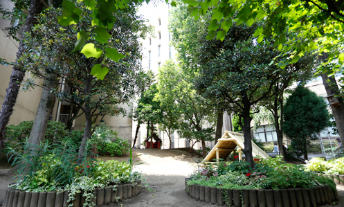 幼稚園・保育園　青山学院幼稚園（幼稚園・保育園）まで773m