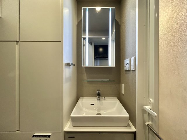 洗面設備　他号室同タイプ