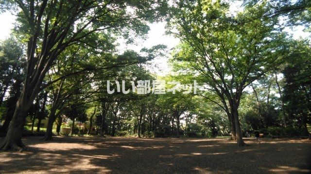公園　石神井公園（公園）まで796m