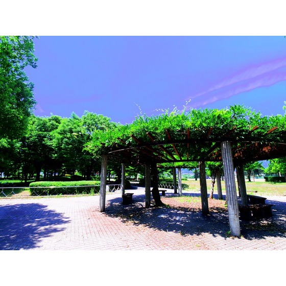 公園　御厨公園（公園）まで504m