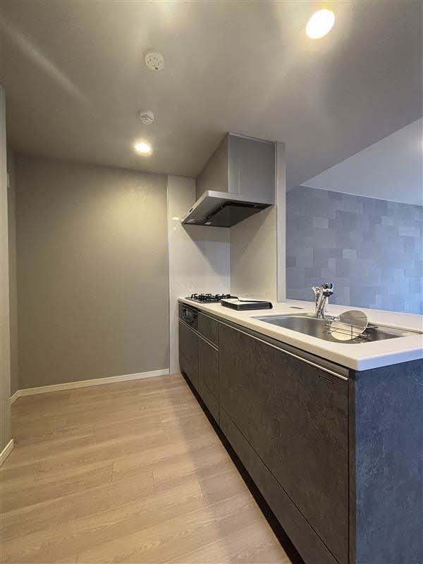 その他部屋・スペース　システムキッチンにはガスコンロが完備されており、忙しい日常…