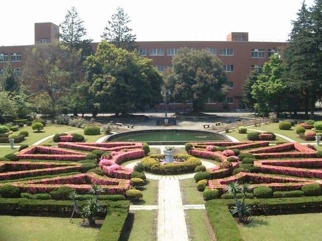 大学・短大　国立宇都宮大学（大学・短大）まで540m