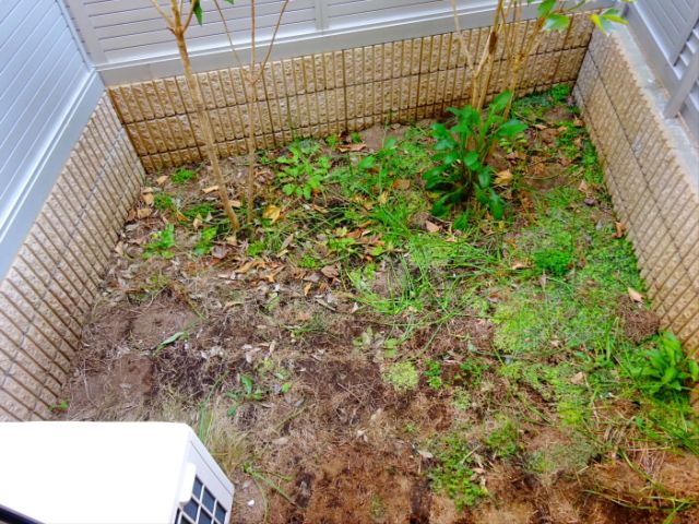 庭　お庭も活用できます