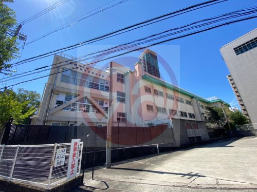 小学校　国立大阪教育大学教育学部附属天王寺小学校（小学校）まで526m