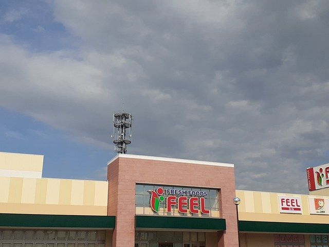 スーパー　フィール（スーパー）まで1400m