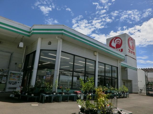 ホームセンター　コメリハード＆グリーン青柳店（ホームセンター）まで804m