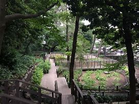 公園　上野毛自然公園（公園）まで465m