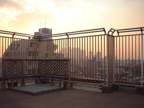 その他共有部分　共用スカイガーデン