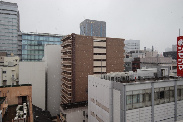 眺望　※別室の参考写真の為、現況優先です。