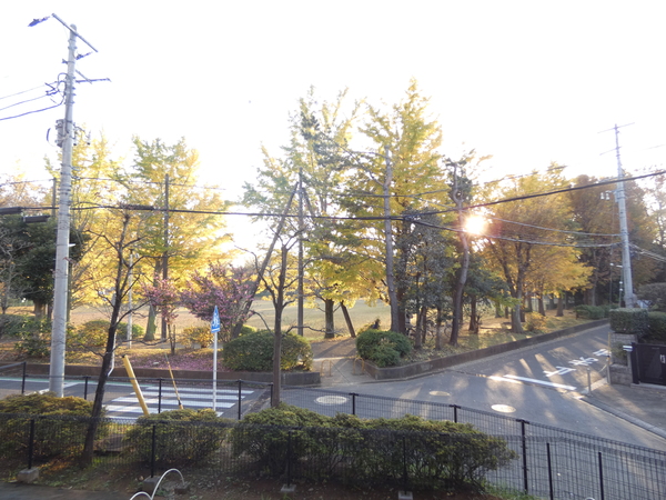 眺望　１１月中旬の眺望です