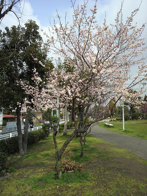 公園　緩衝緑地公園（公園）まで483m