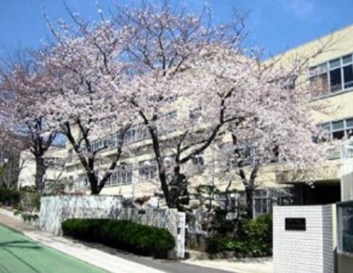 小学校　神戸市立五位の池小学校（小学校）まで204m