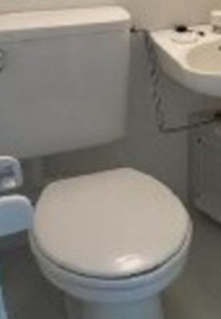 トイレ　同仕様